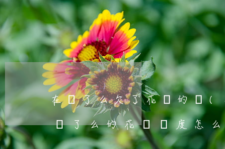 在餓了么欠了花唄的錢(qián)怎么還(餓了么的花唄額度怎么還款)