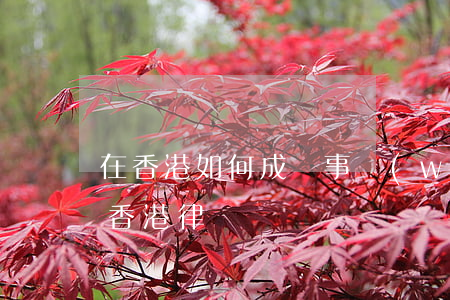 在香港如何成為事務(wù)律師，怎么成為香港律師