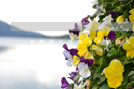在香港欠信用卡不還回大陸(欠信用卡可以去香港嗎)