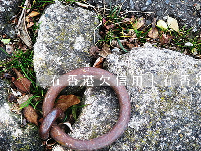 在香港欠信用卡(在香港欠信用卡怎么還款)