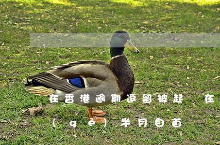 在香港逾期逗留被起訴(在香港逾期逗留1個(gè)半月自首)