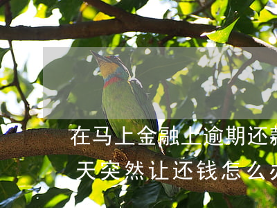 在马上金融上逾期还款(马上金融逾期三年今天突然让还钱怎么办)