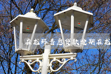 在龙环普惠贷款逾期(在龙环普惠贷款逾期)