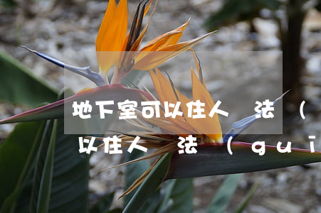 地下室可以住人嗎法規(guī)(地下室可以住人嗎法規(guī))