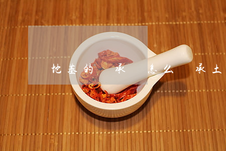 地基的繼承權怎么繼承(土地怎么繼承)