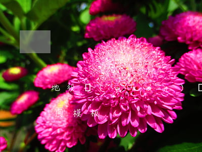 地役權(quán)轉(zhuǎn)讓合同模板