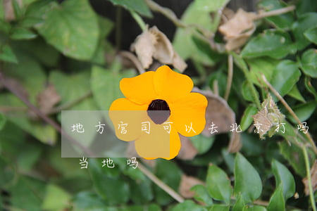 地方官司可以去北京打吗(当地打官司需要在当地吗)
