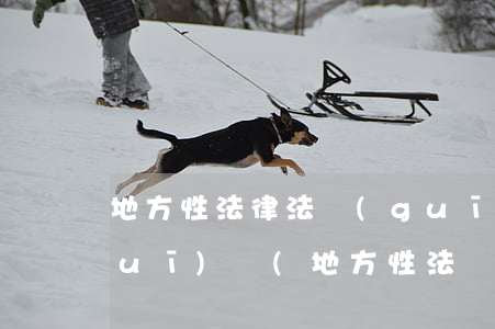 地方性法律法規(guī)是行政法規(guī)嗎(地方性法規(guī)也是行政法規(guī)呀)
