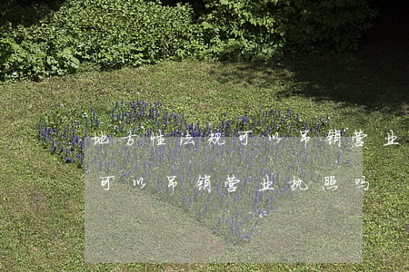 地方性法规可以吊销营业执照吗(地方性法规可以吊销营业执照吗?)