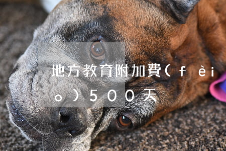 地方教育附加費(fèi)逾期申報(bào)500天