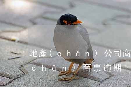 地產(chǎn)公司商票違約（中駿地產(chǎn)商票逾期）