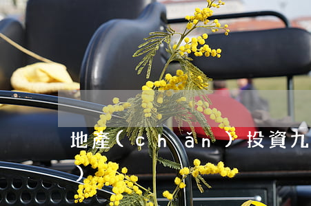地產(chǎn)投資九條真經(jīng)
