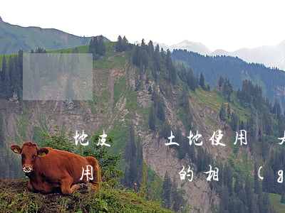 地皮單與土地使用證是什么（地皮單與土地使用證過戶的相關(guān)知識）