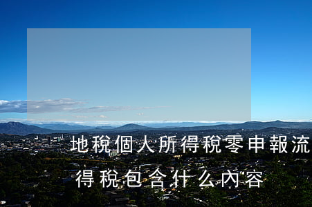 地稅個人所得稅零申報流程是怎樣的（個人所得稅包含什么內容）