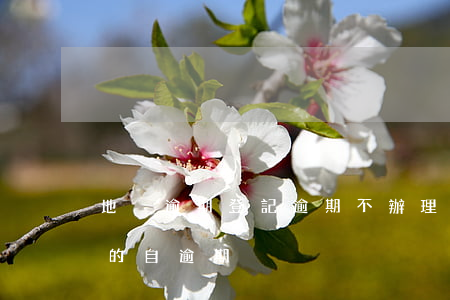 地稅逾期登記(逾期不辦理稅務(wù)登記的,自逾期)