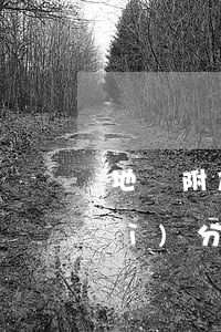地稅附加稅逾期滯納金會(huì)計(jì)分錄-附加稅費(fèi)滯納金