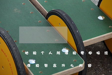 地税个人所得税零申报流程是怎样的（个人所得税包含什么内容）