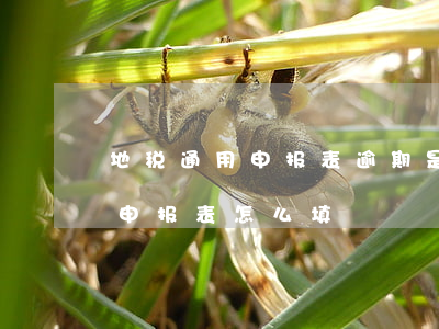 地税通用申报表逾期是怎么回事-地税通用申报表怎么填