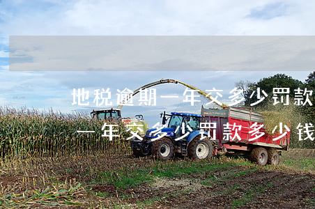 地税逾期一年交多少罚款多少钱-地税逾期一年交多少罚款多少钱啊