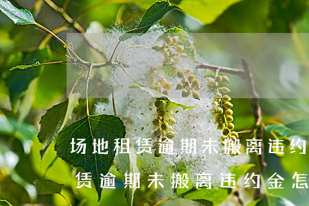 场地租赁逾期未搬离违约金怎么写-场地租赁逾期未搬离违约金怎么写申请