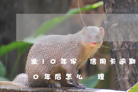 坐10年牢獄信用卡逾期怎么辦(欠信用卡10年后怎么處理)
