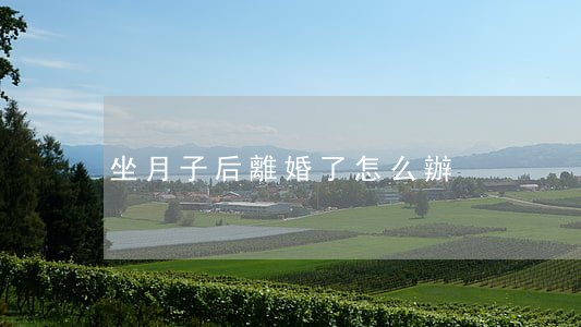 坐月子后離婚了怎么辦