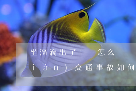坐滴滴出了車禍怎么賠償(乘坐滴滴出現(xiàn)交通事故如何賠償)
