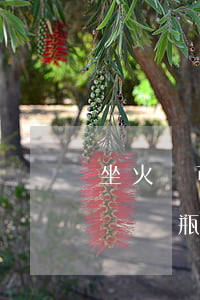 坐火車可以帶酒嗎(坐火車可以帶白酒嗎可以帶幾瓶)