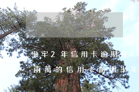 坐牢2年信用卡逾期會(huì)上征信嗎(兩萬的信用卡逾期半年會(huì)坐牢嗎)