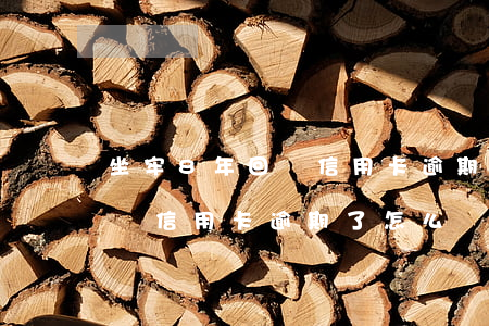 坐牢8年回來信用卡逾期了怎么辦(在坐牢期間信用卡逾期了怎么辦)