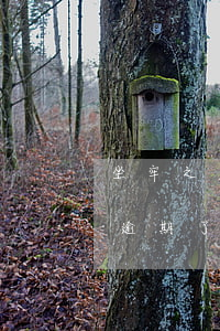 坐牢之后信用卡逾期(剛坐牢釋放出來信用卡逾期了)