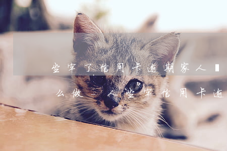 坐牢了信用卡逾期家人應(yīng)該怎么做-人坐牢信用卡逾期怎么辦