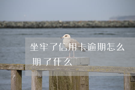 坐牢了信用卡逾期怎么處理（因做牢信用卡逾期了什么辦）