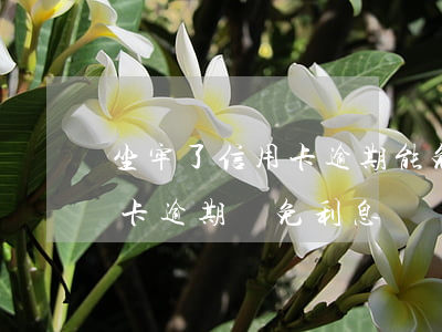 坐牢了信用卡逾期能免利息嗎（刑事拘留信用卡逾期減免利息）