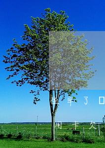 坐牢了導(dǎo)致信用卡逾期怎么辦（信用卡欠錢(qián)逾期坐牢嗎）