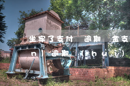 坐牢了支付寶逾期罰金(支付寶欠錢(qián)逾期會(huì)坐牢嗎)