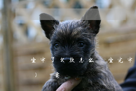 坐牢了欠款怎么還(坐完牢欠的錢(qián)還要還嗎)