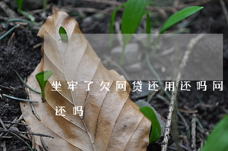 坐牢了欠网贷还用还吗(网贷坐牢了欠钱还用还吗)