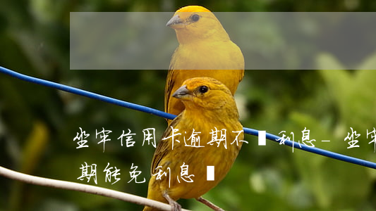 坐牢信用卡逾期不還利息-坐牢了信用卡逾期能免利息嗎