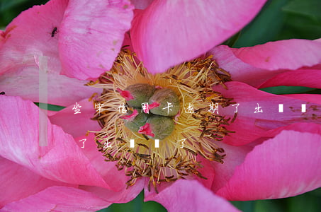 坐牢信用卡逾期了出來還了(坐牢信用卡逾期了出來還了)