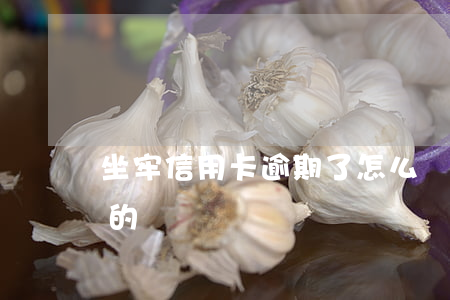 坐牢信用卡逾期了怎么辦(有信用卡逾期坐牢的嗎)