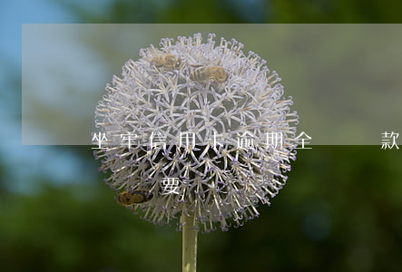 坐牢信用卡逾期全額還款(信用卡欠款坐牢出來還要還嗎)