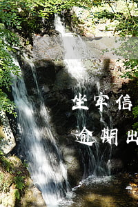 坐牢信用卡逾期出獄怎么辦上海（坐牢信用卡逾期出獄怎么辦上海）