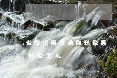 坐牢信用卡逾期利息高嗎(因坐牢信用卡逾期利息怎么辦)