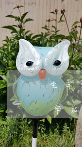 坐牢信用卡逾期可以延遲還錢嗎(欠信用卡坐牢后還要還錢嗎)