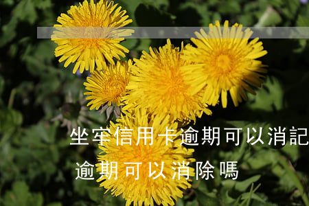 坐牢信用卡逾期可以消記錄嗎(被拘留信用卡逾期可以消除嗎)