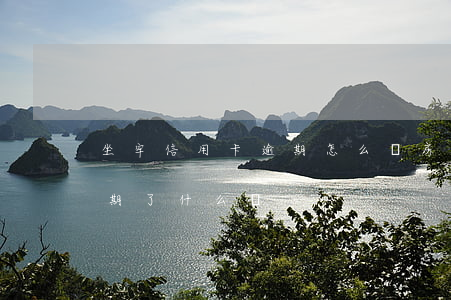 坐牢信用卡逾期怎么辦房貸(因做牢信用卡逾期了什么辦)