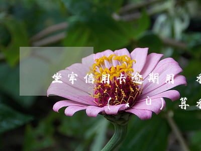 坐牢信用卡逾期用還利息嘛(欠信用卡坐牢期間繼續(xù)算利息?)