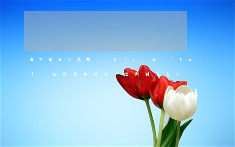 坐牢信用卡逾期費(fèi)用會(huì)減免(因坐牢信用卡逾期利息怎么辦)