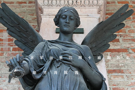 坐牢出來信用卡逾期怎么辦(因坐牢信用卡逾期可消除嗎)